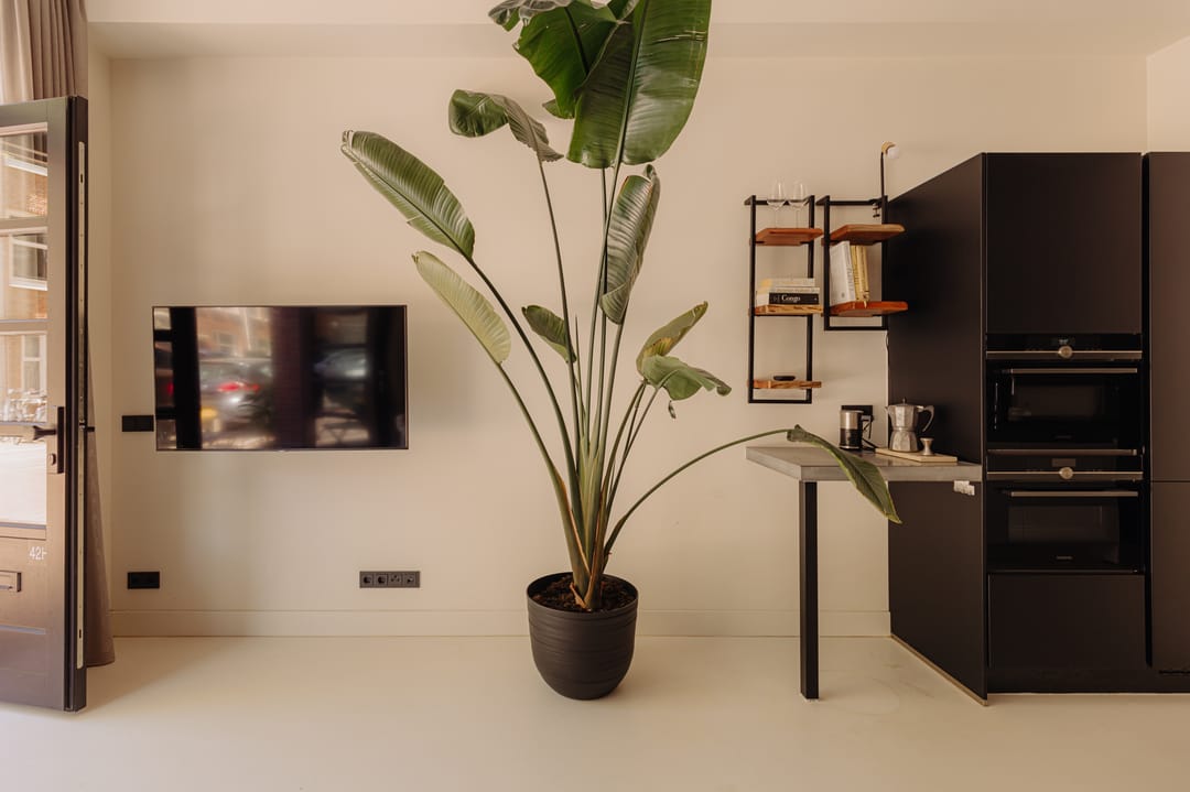 Foto 7 van Gillis van Ledenberchstraat 42-H