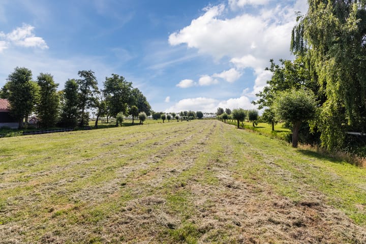 Foto 12 van Westergeest/De Terp