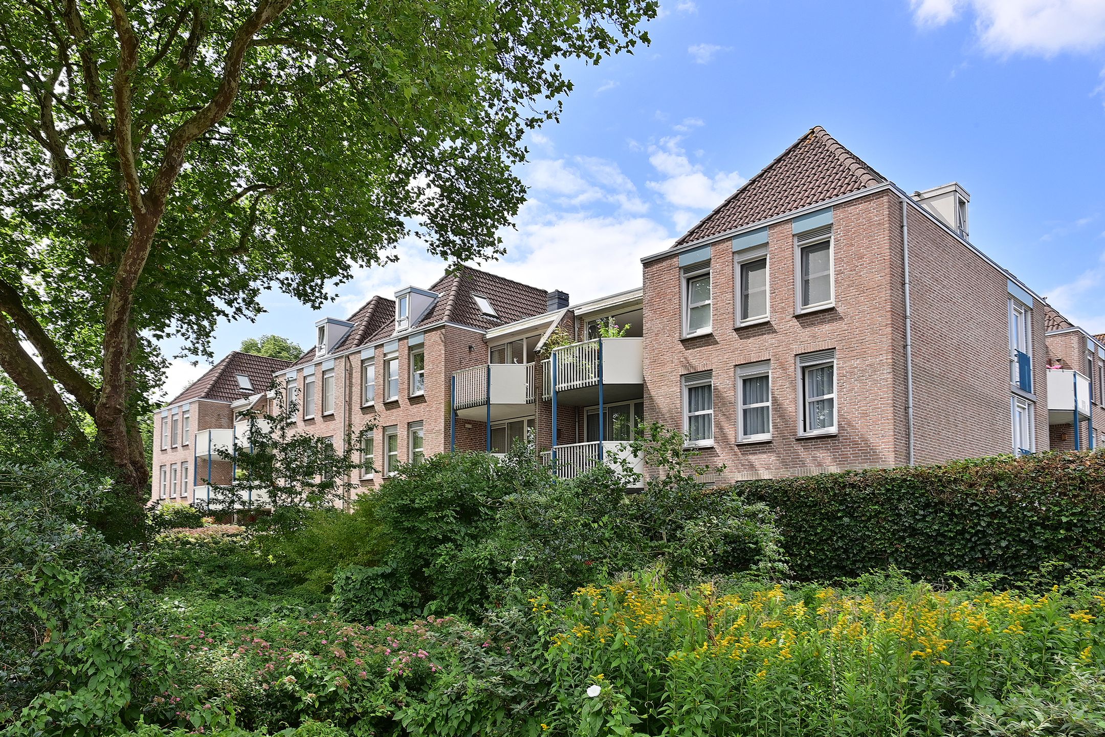 Jan van Brakelstraat 53