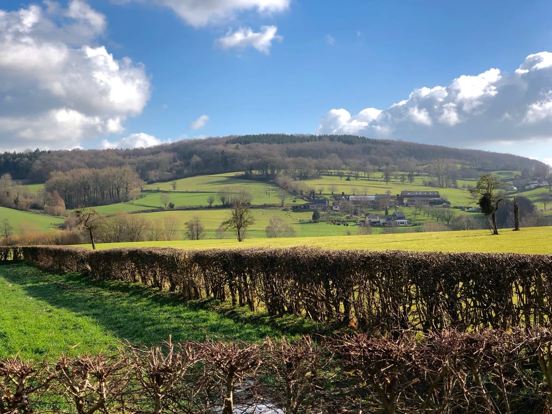 Photo 28 of Spetsesweide 5-315