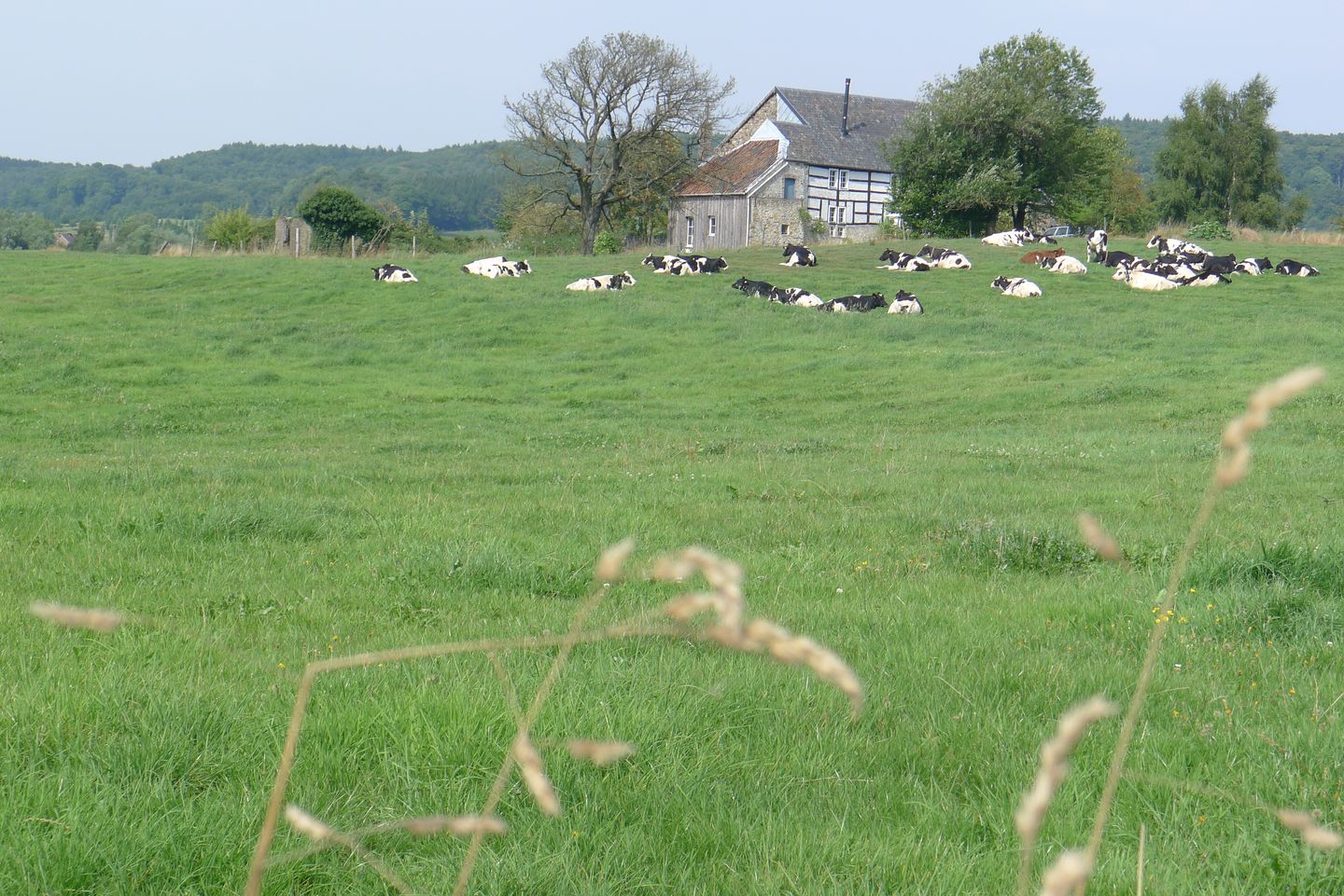 Photo 29 of Spetsesweide 5-315