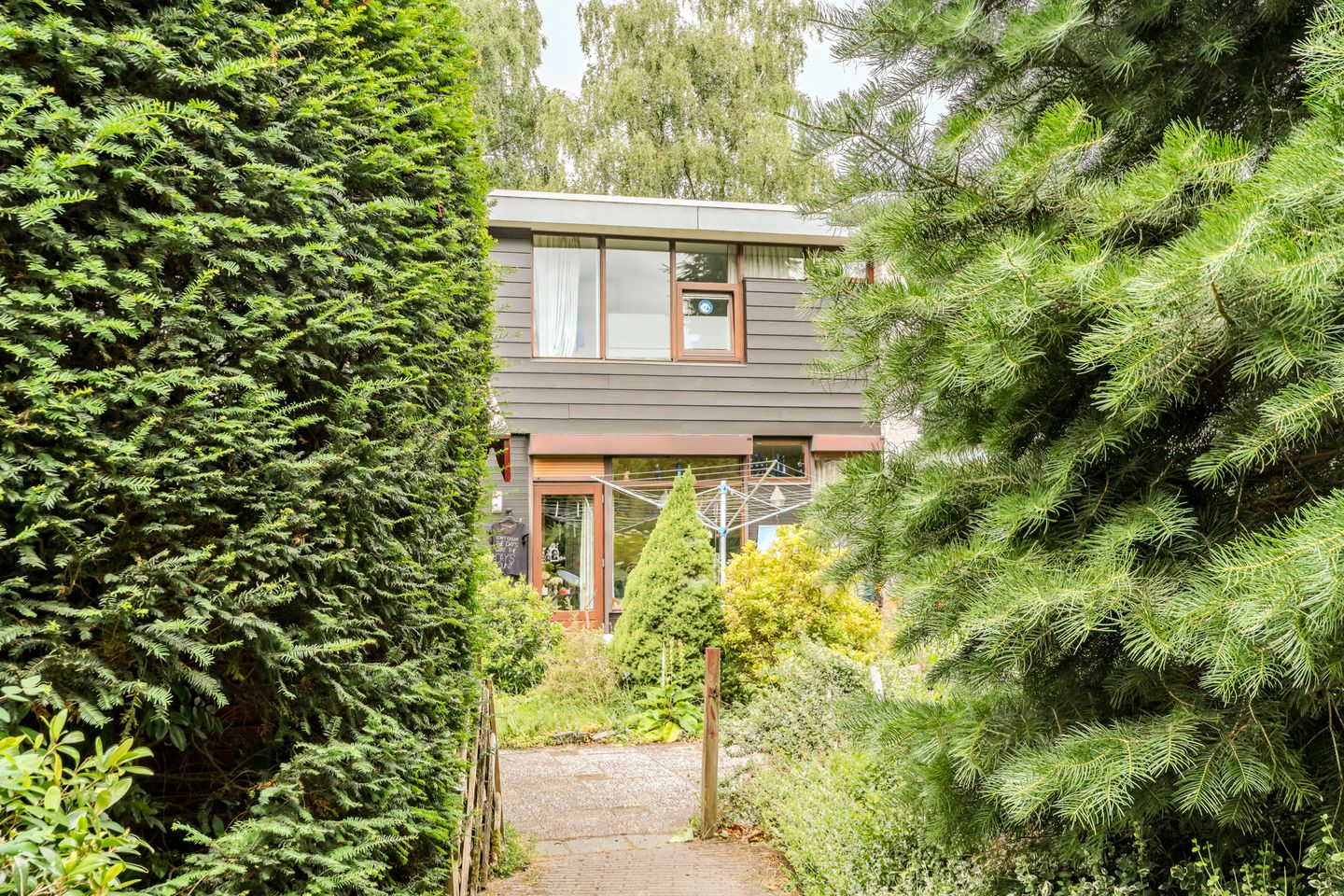 Foto 20 van Sleedoorn 39