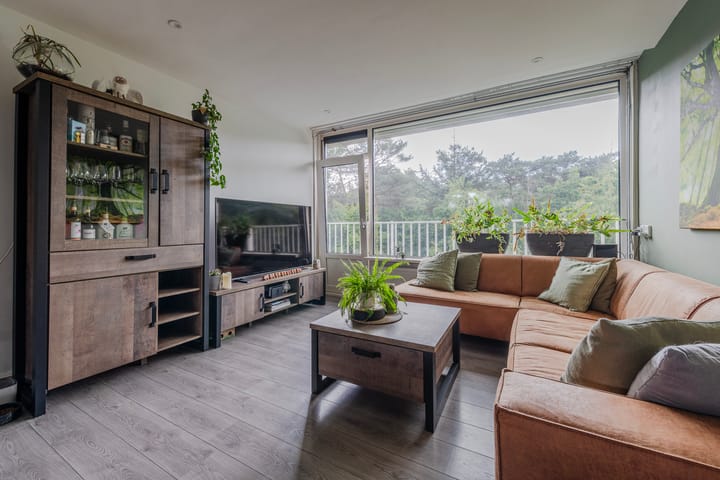 Foto 4 van Anna Paulownalaan 65