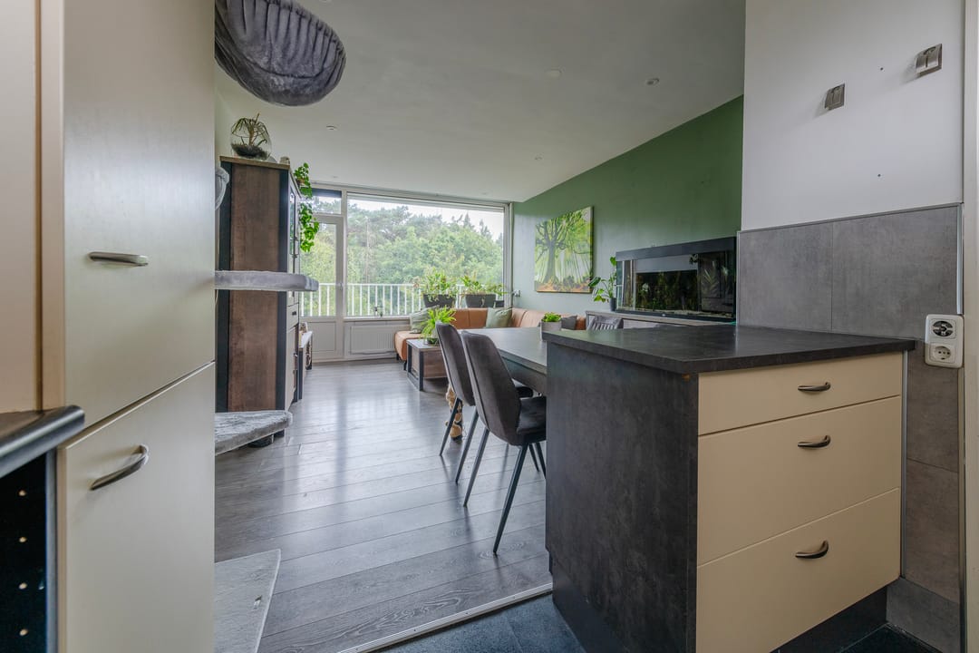 Photo 8 of Anna Paulownalaan 65