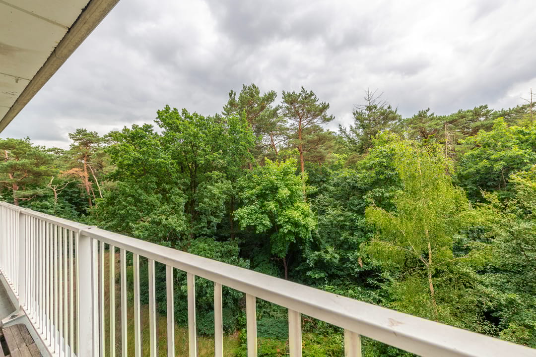 Photo 13 of Anna Paulownalaan 65