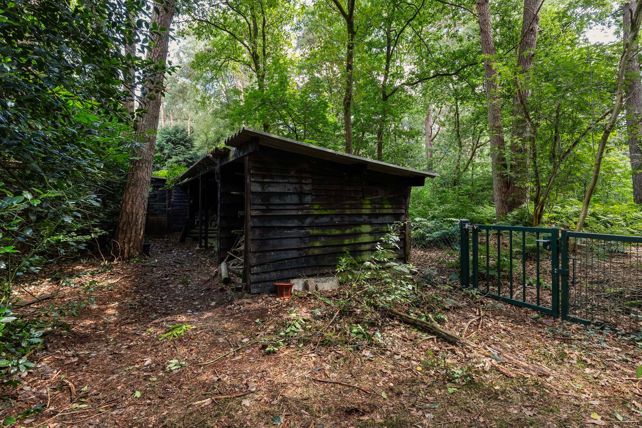 Foto 33 van Louise de Colignylaan 4