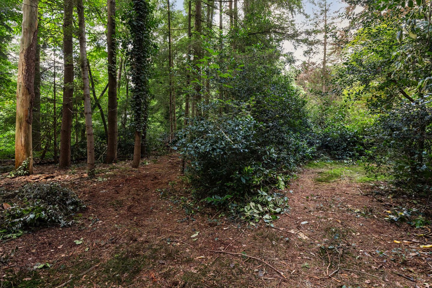 Foto 34 van Louise de Colignylaan 4