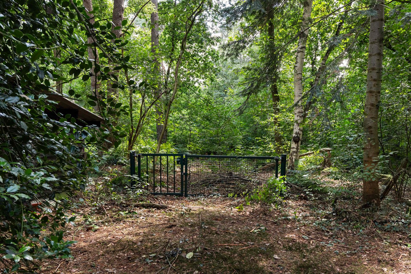 Foto 35 van Louise de Colignylaan 4