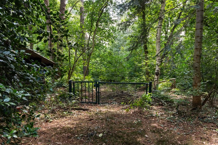 Photo 35 of Louise de Colignylaan 4