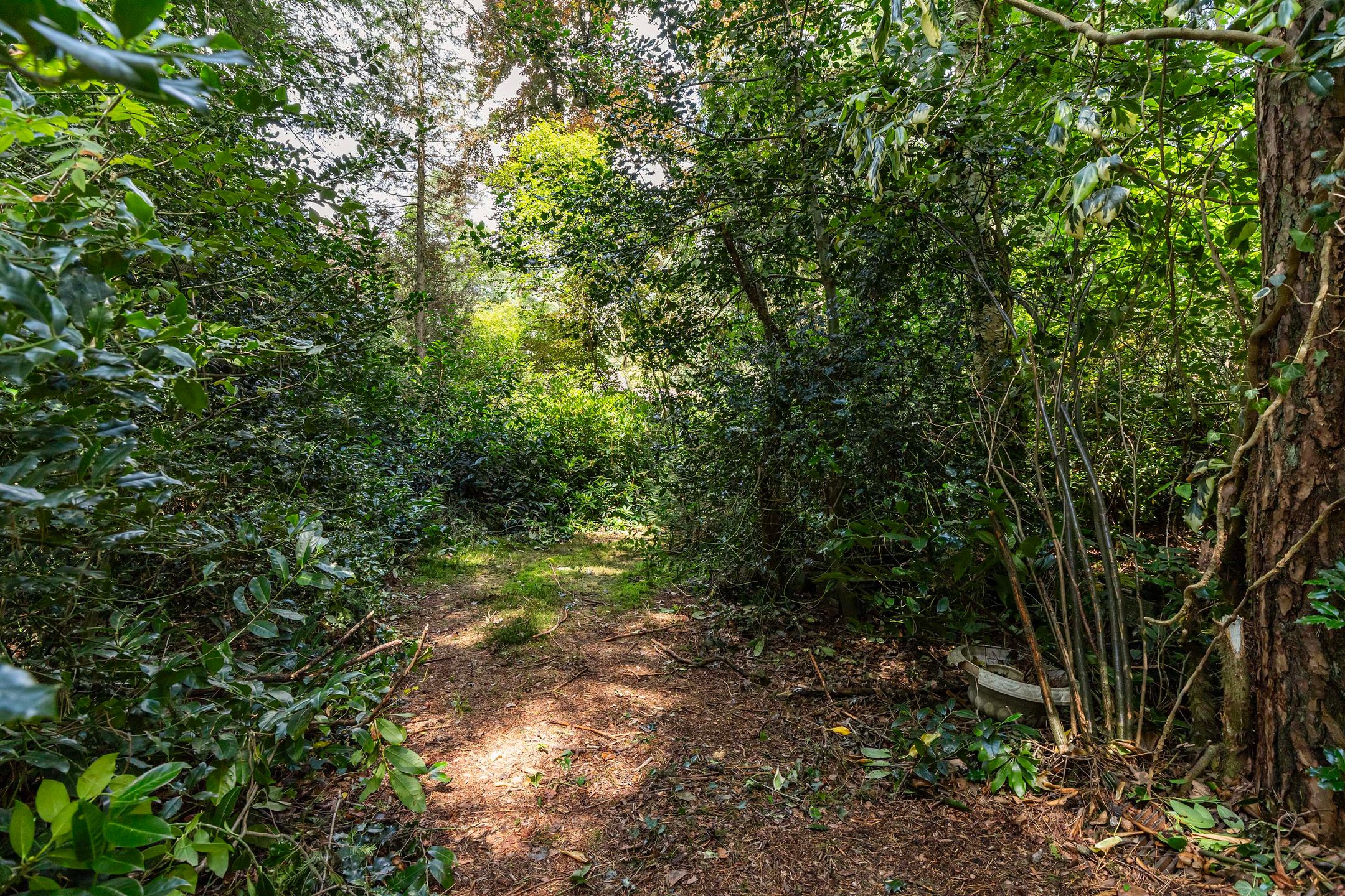 Foto 36 van Louise de Colignylaan 4