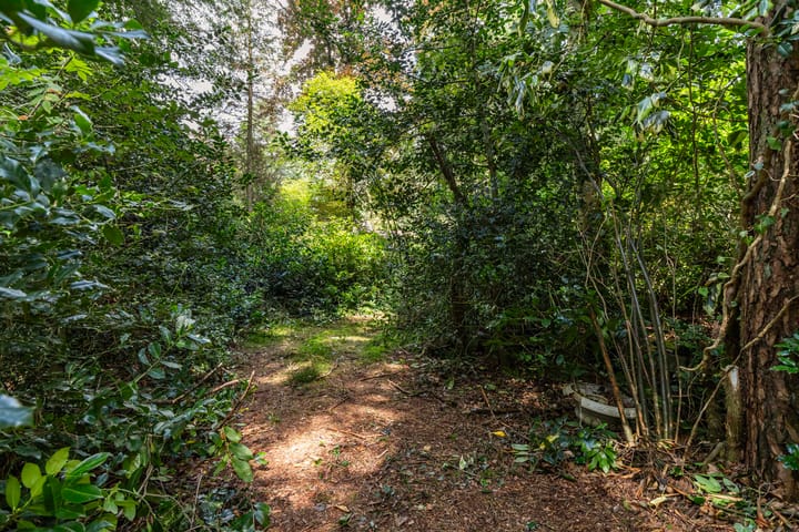 Photo 36 of Louise de Colignylaan 4