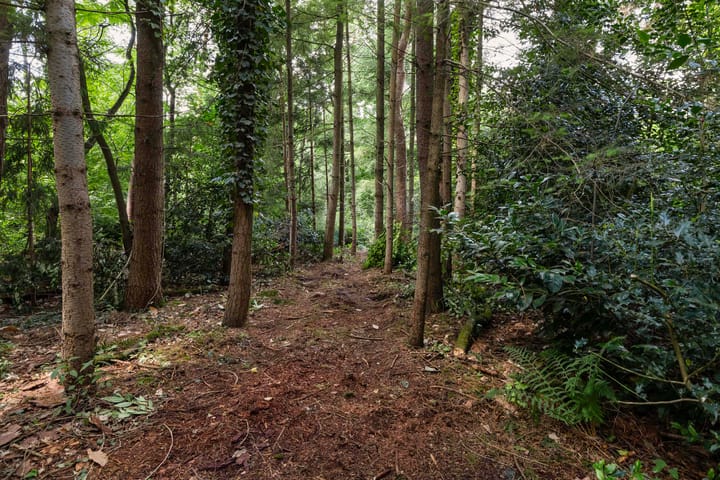 Photo 37 of Louise de Colignylaan 4