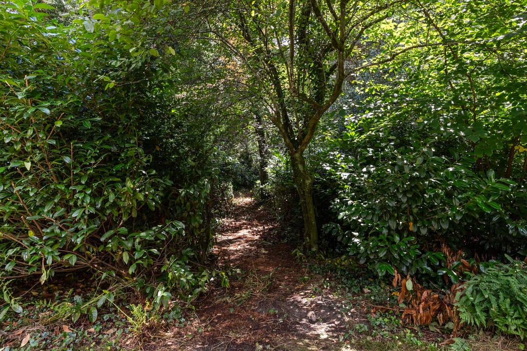 Foto 38 van Louise de Colignylaan 4