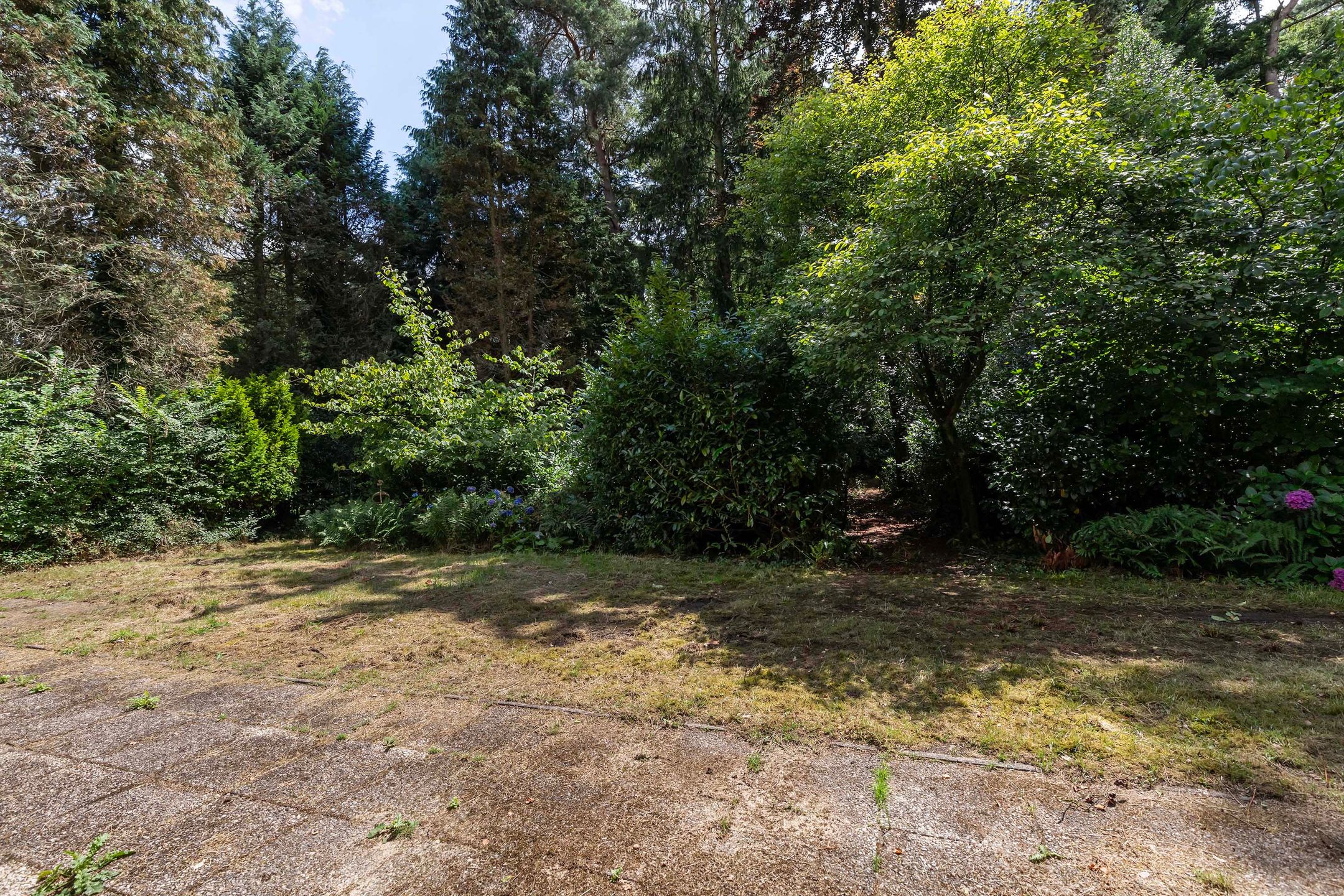 Foto 39 van Louise de Colignylaan 4