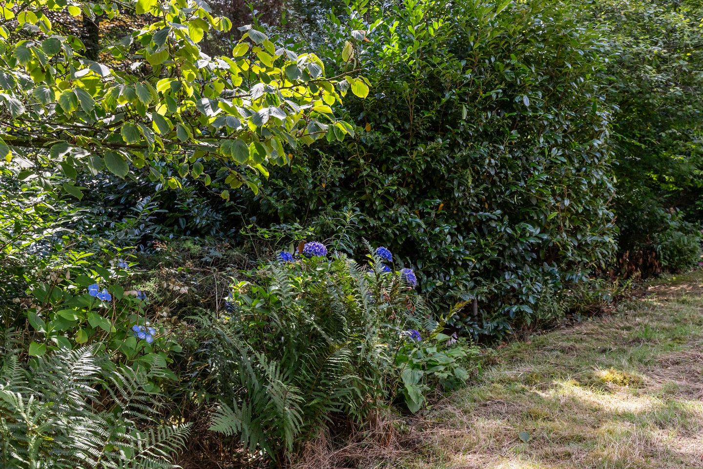 Foto 40 van Louise de Colignylaan 4