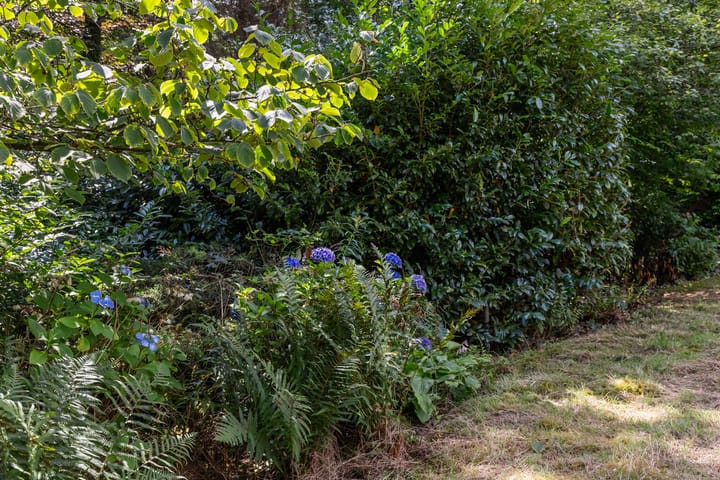 Photo 40 of Louise de Colignylaan 4