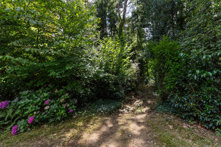 Photo 41 of Louise de Colignylaan 4