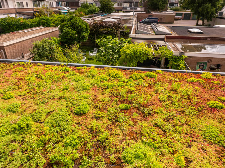 Foto 33 van Wijzend 30