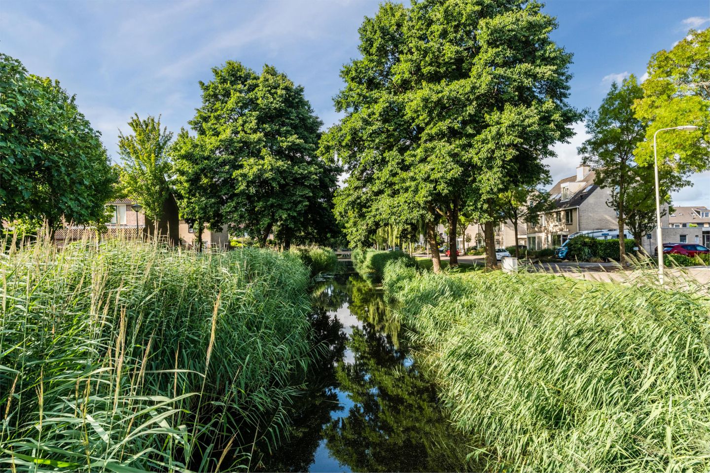 Foto 50 van Schutter 14