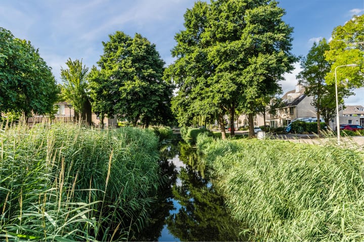 Foto 50 van Schutter 14