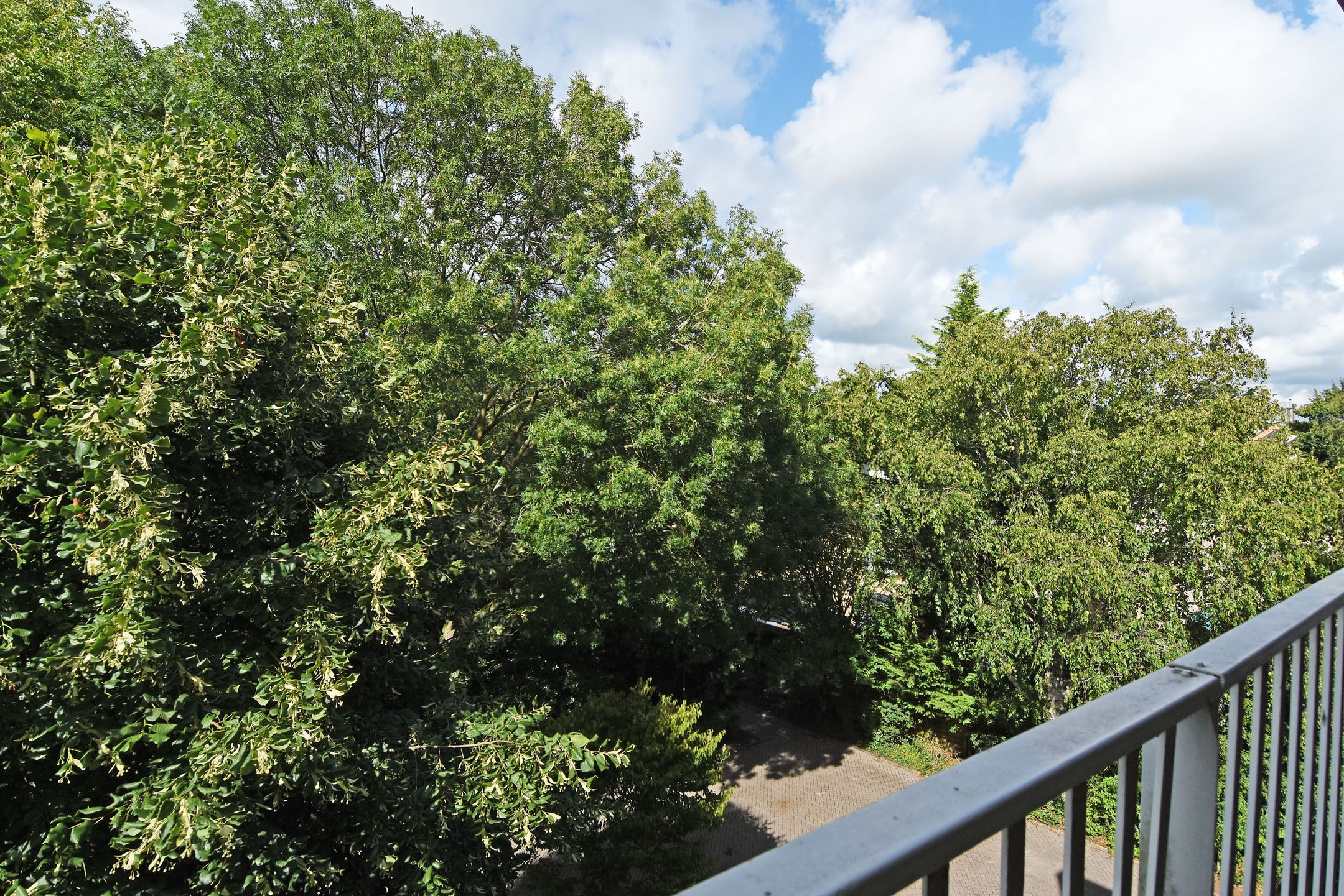 Foto 21 van Klaverweide 344