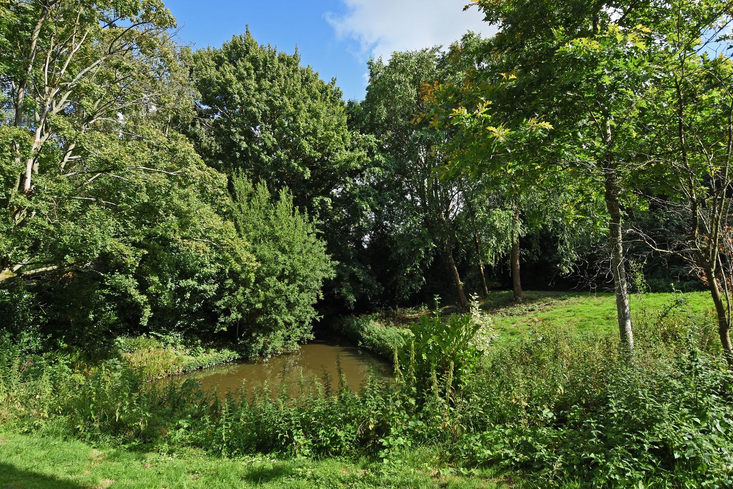 Foto 34 van Klaverweide 344