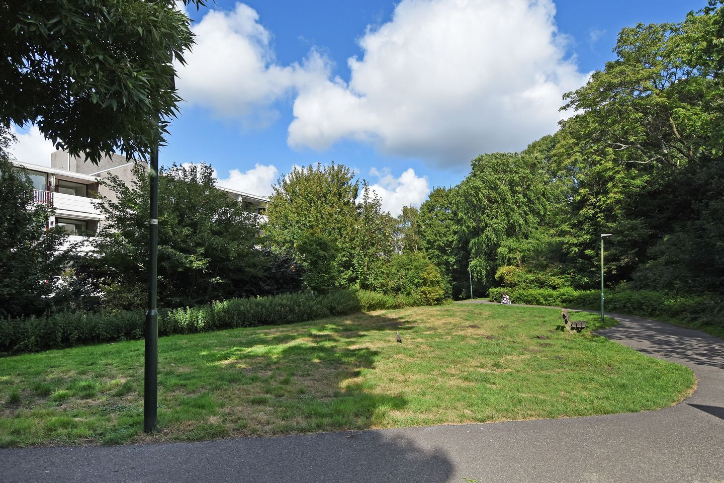 Foto 35 van Klaverweide 344