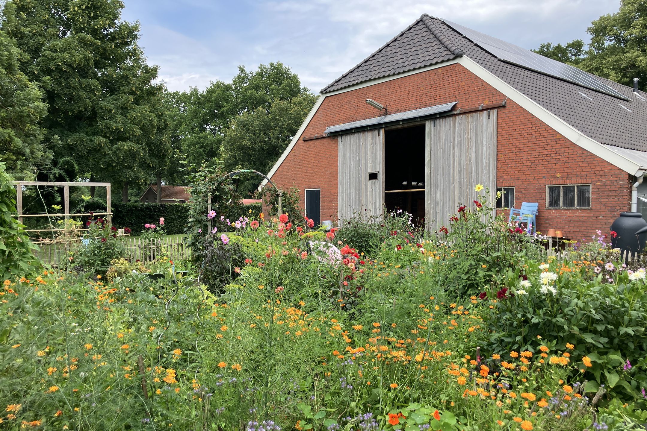 Foto 9 van Weenderstraat 35