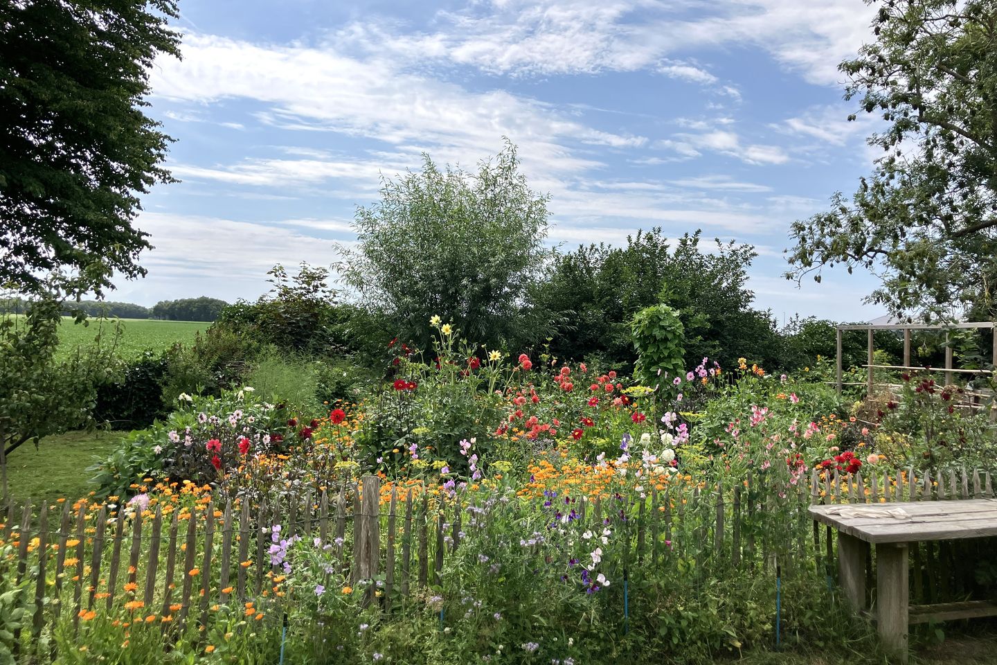 Foto 10 van Weenderstraat 35