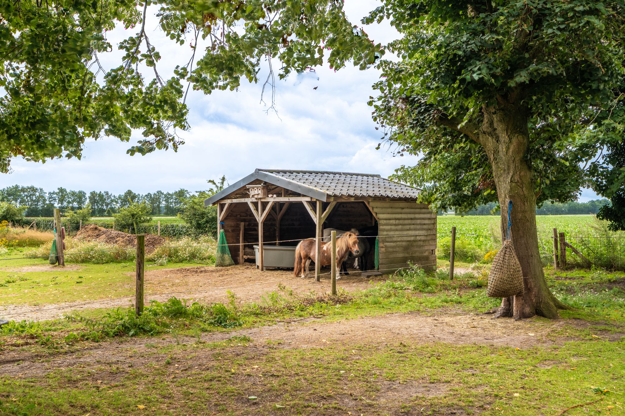 Foto 51 van Weenderstraat 35