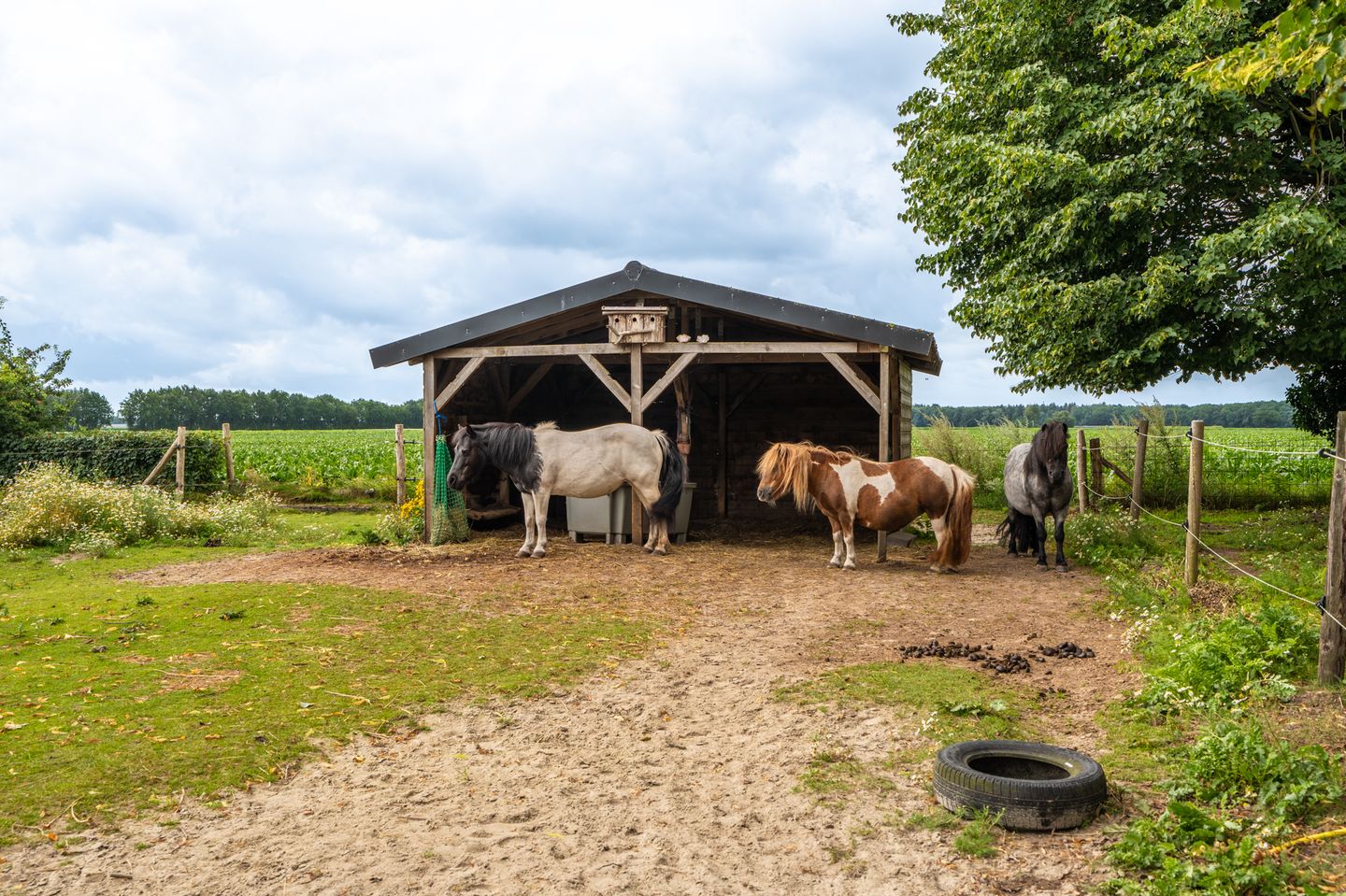 Foto 55 van Weenderstraat 35