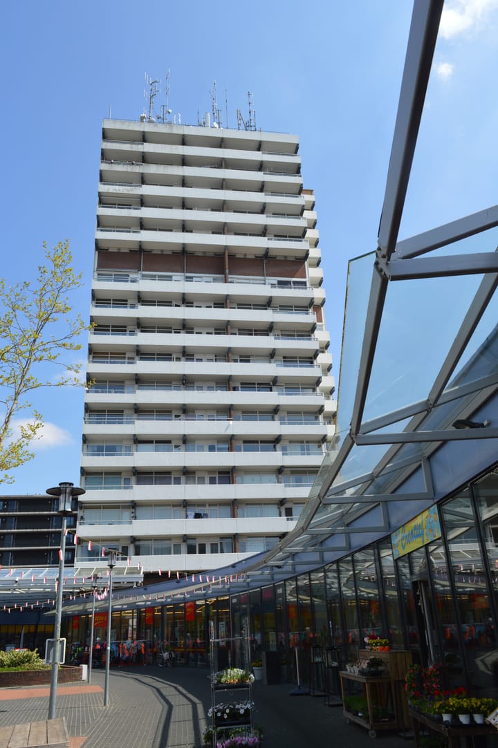 Foto 26 van Houtweg 246