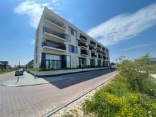 homes for rent on Wilde rucolavliet 39