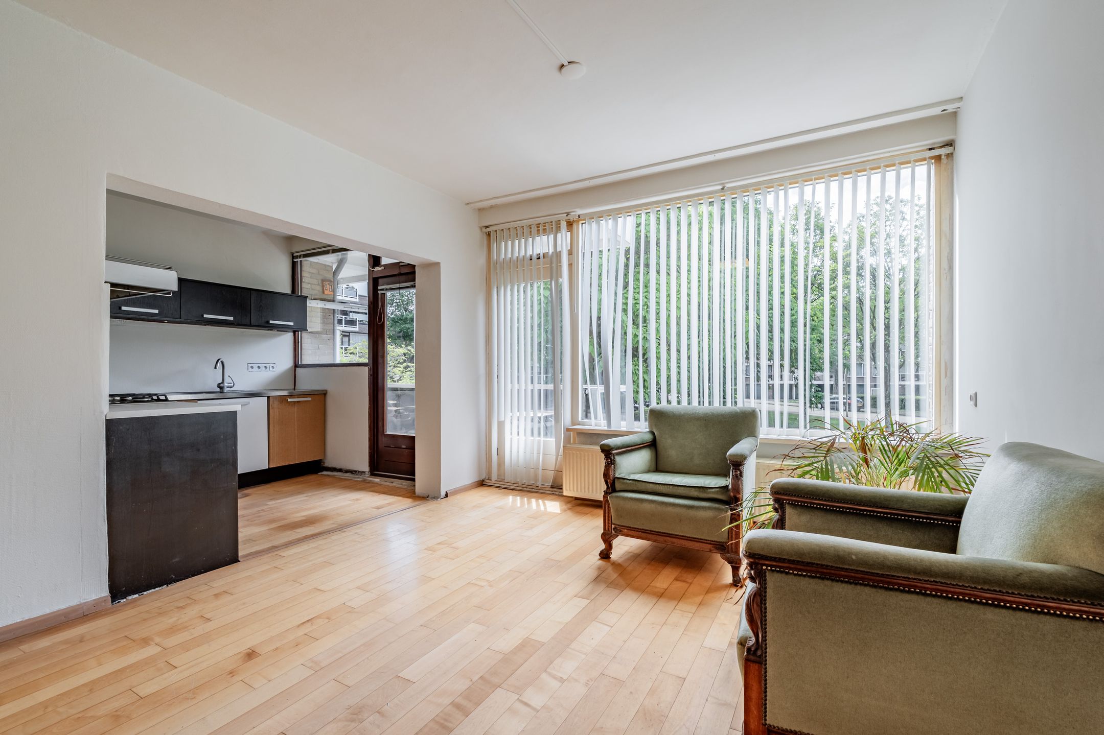 Foto 9 van Julianaplantsoen 241