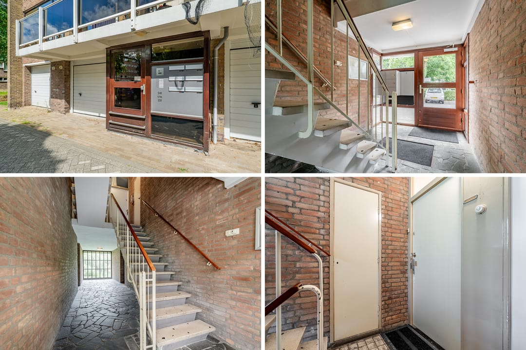 Foto 31 van Julianaplantsoen 241