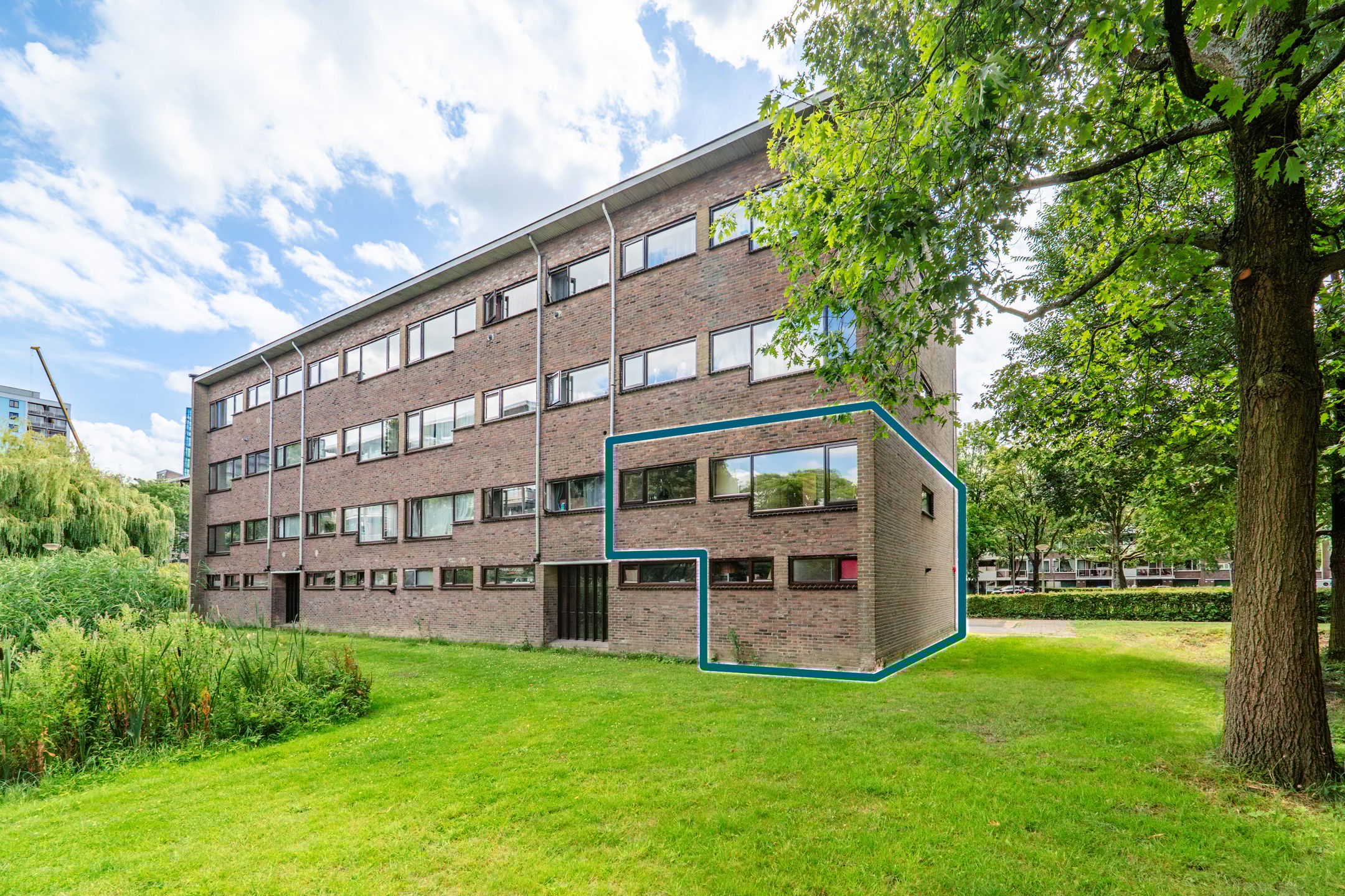 Foto 33 van Julianaplantsoen 241