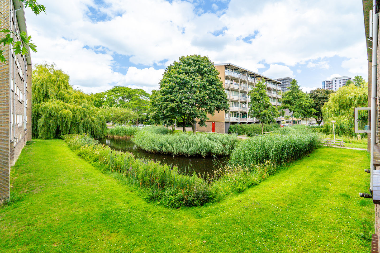 Foto 35 van Julianaplantsoen 241