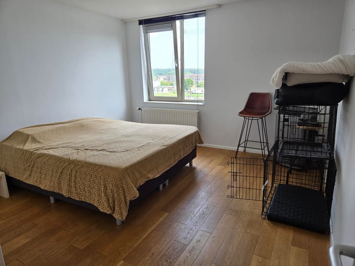 Photo 5 of Jacq. Stalkade 19