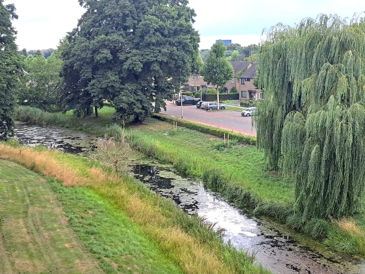 Foto 13 van Malvert 6863