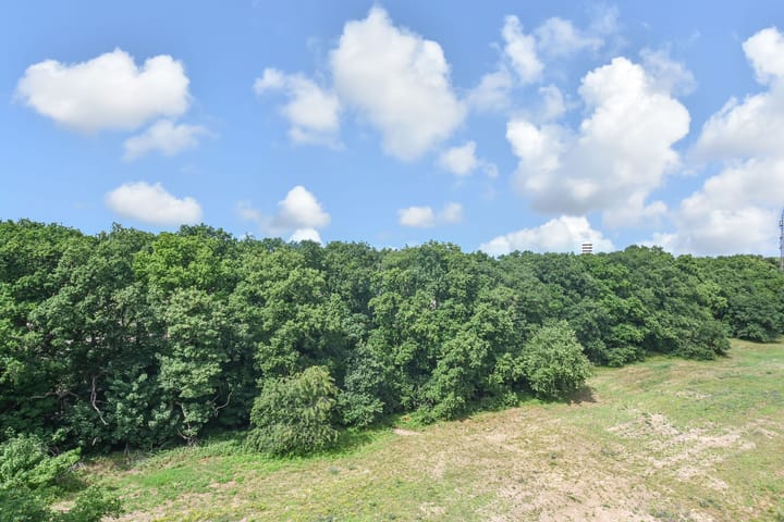 Foto 4 van Else Mauhslaan 46