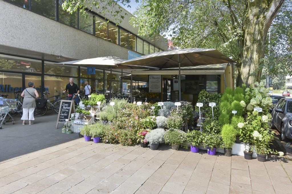 Foto 54 van Else Mauhslaan 46