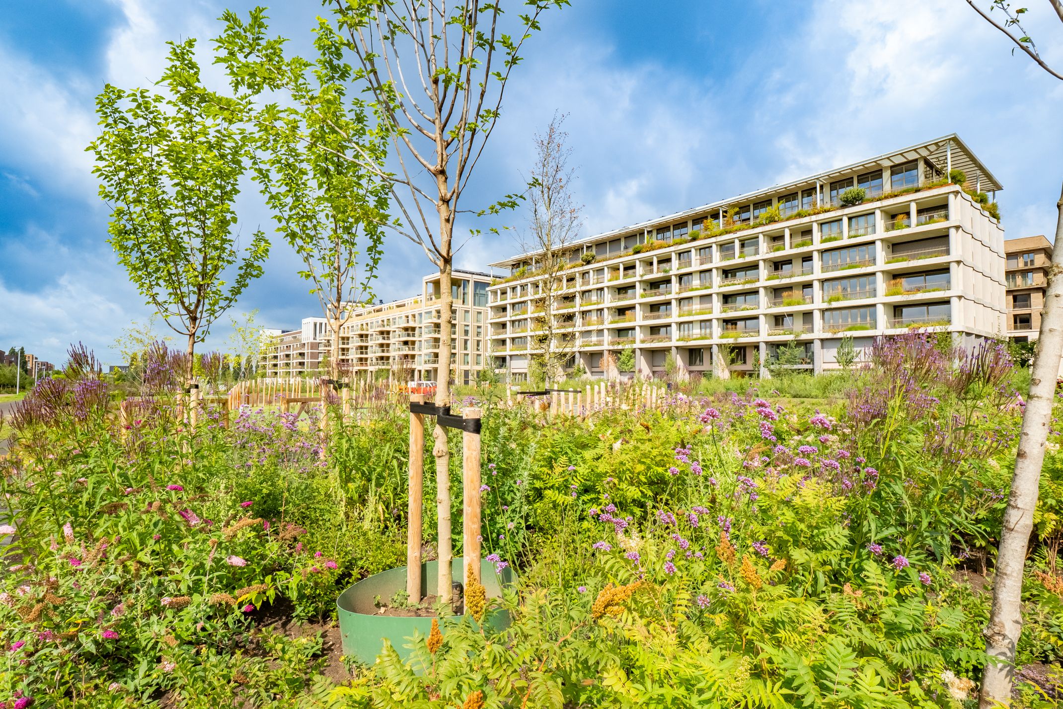 Foto 48 van Valeriaanweg 249