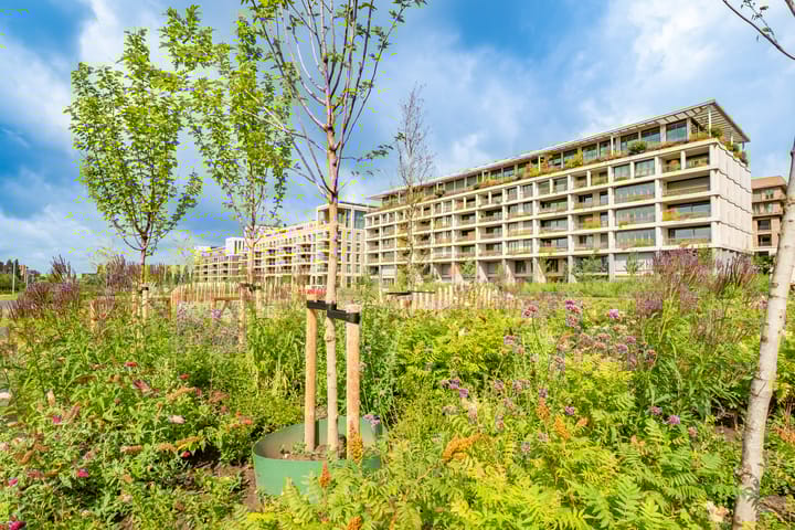 Foto 48 van Valeriaanweg 249