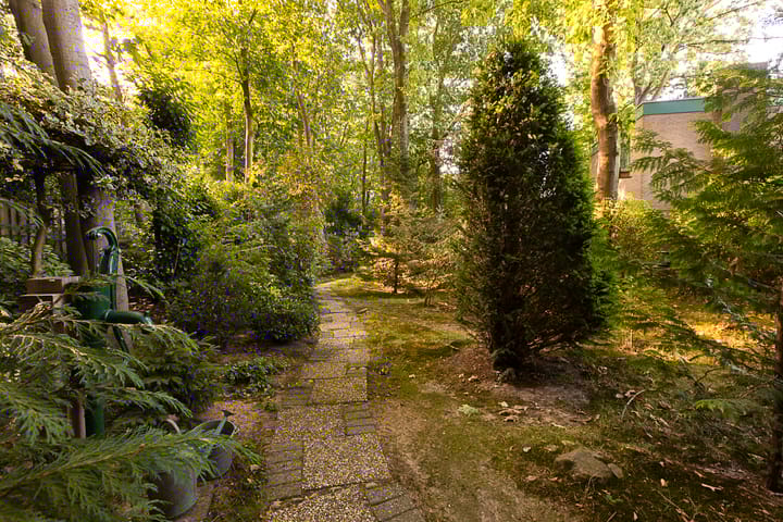 Foto 46 van Zweerslaan 40