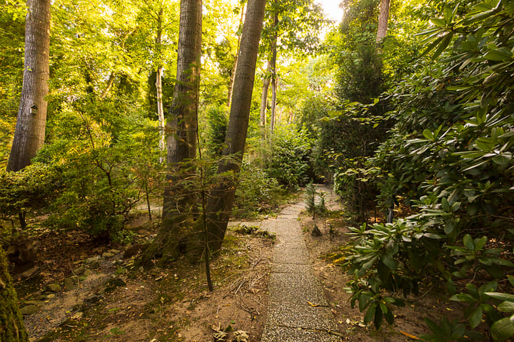 Foto 47 van Zweerslaan 40