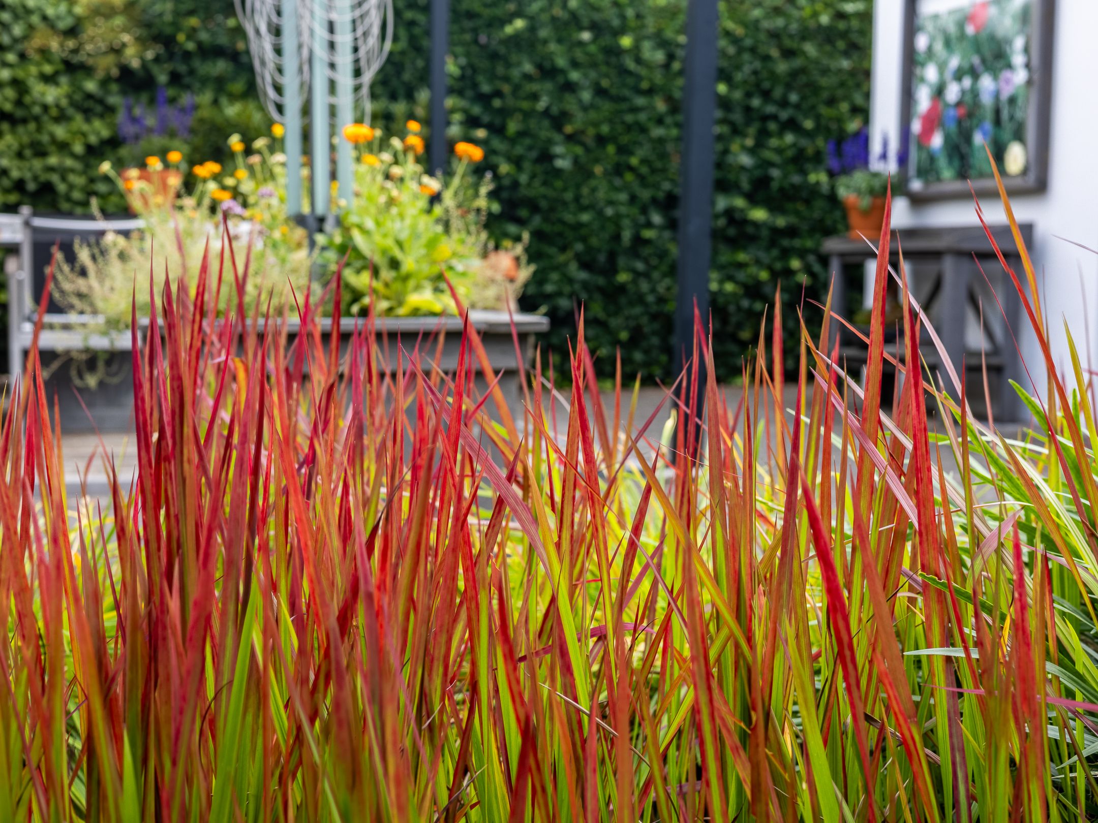 Foto 54 van 't Haagje 8