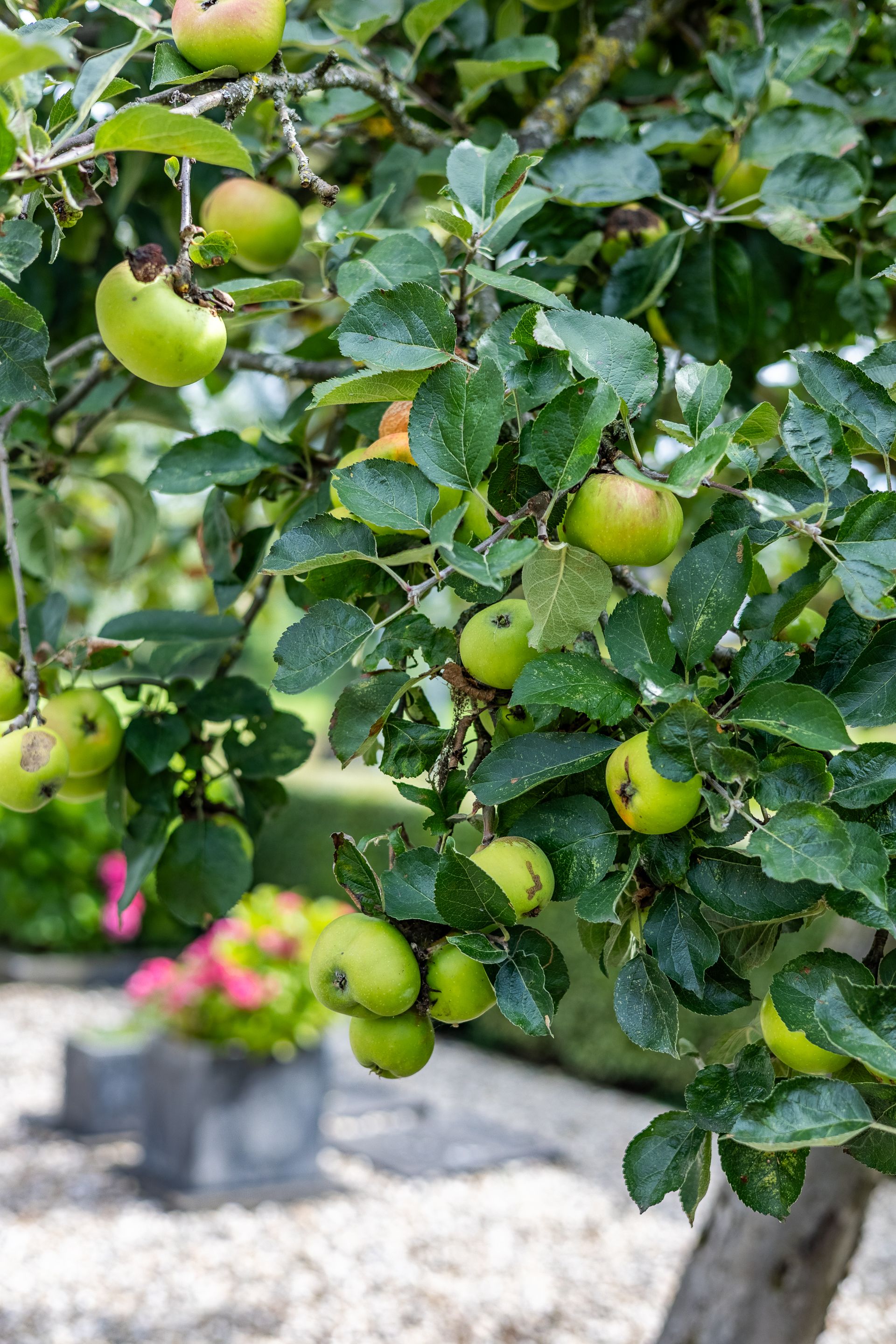 Foto 63 van 't Haagje 8