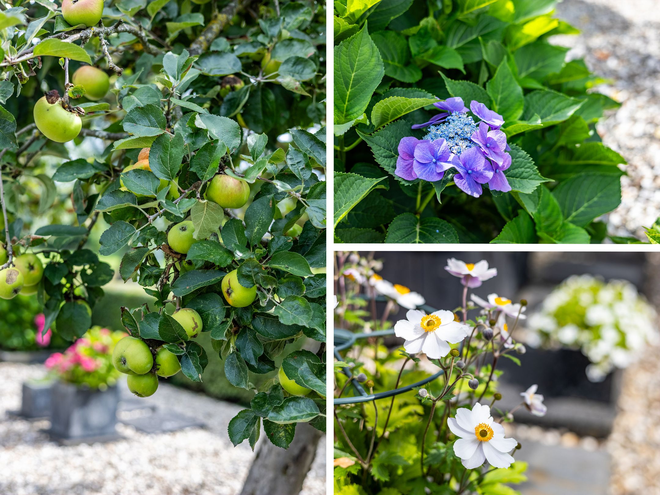 Foto 66 van 't Haagje 8