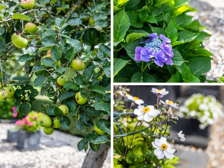 Photo 66 of 't Haagje 8