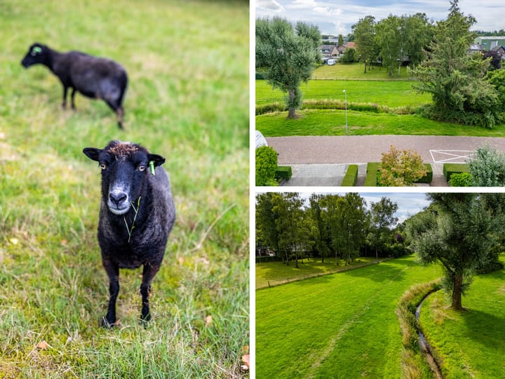 Photo 73 of 't Haagje 8